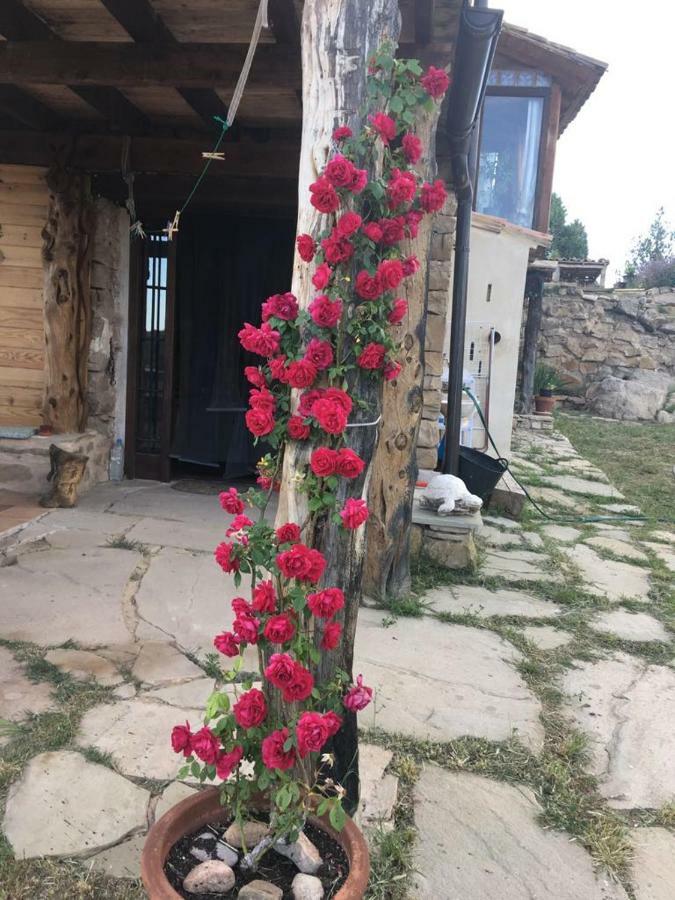 Monolocal Rural Con Encanto Valbona Εξωτερικό φωτογραφία