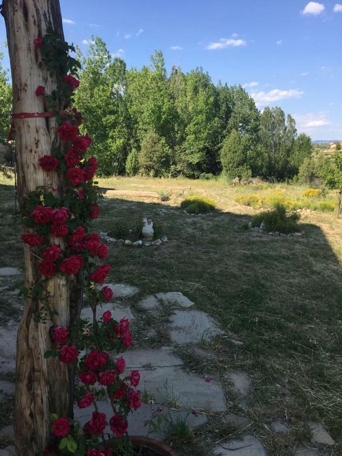 Monolocal Rural Con Encanto Valbona Εξωτερικό φωτογραφία